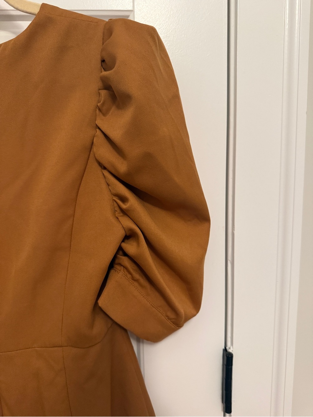 DO+BE Rust-Brown Puff Sleeve V-Neck Mini Dress - Picture 6 of 6